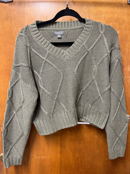 Francesca's Collections Sweaters - Slightly Cropped Green Francescas Sweater